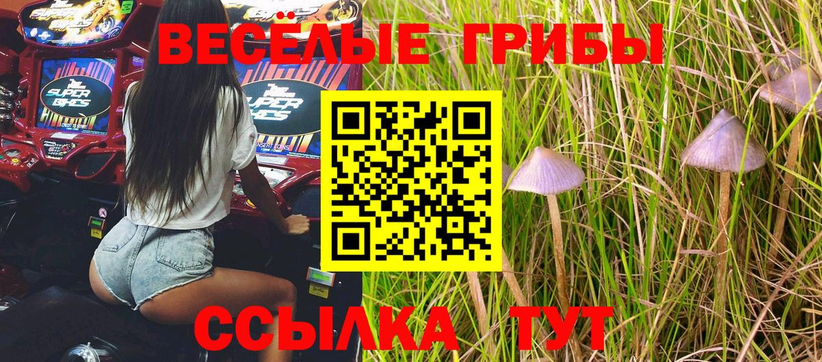 Галлюциногенные грибы MAGIC MUSHROOMS  Вход с VPN  Кызыл 